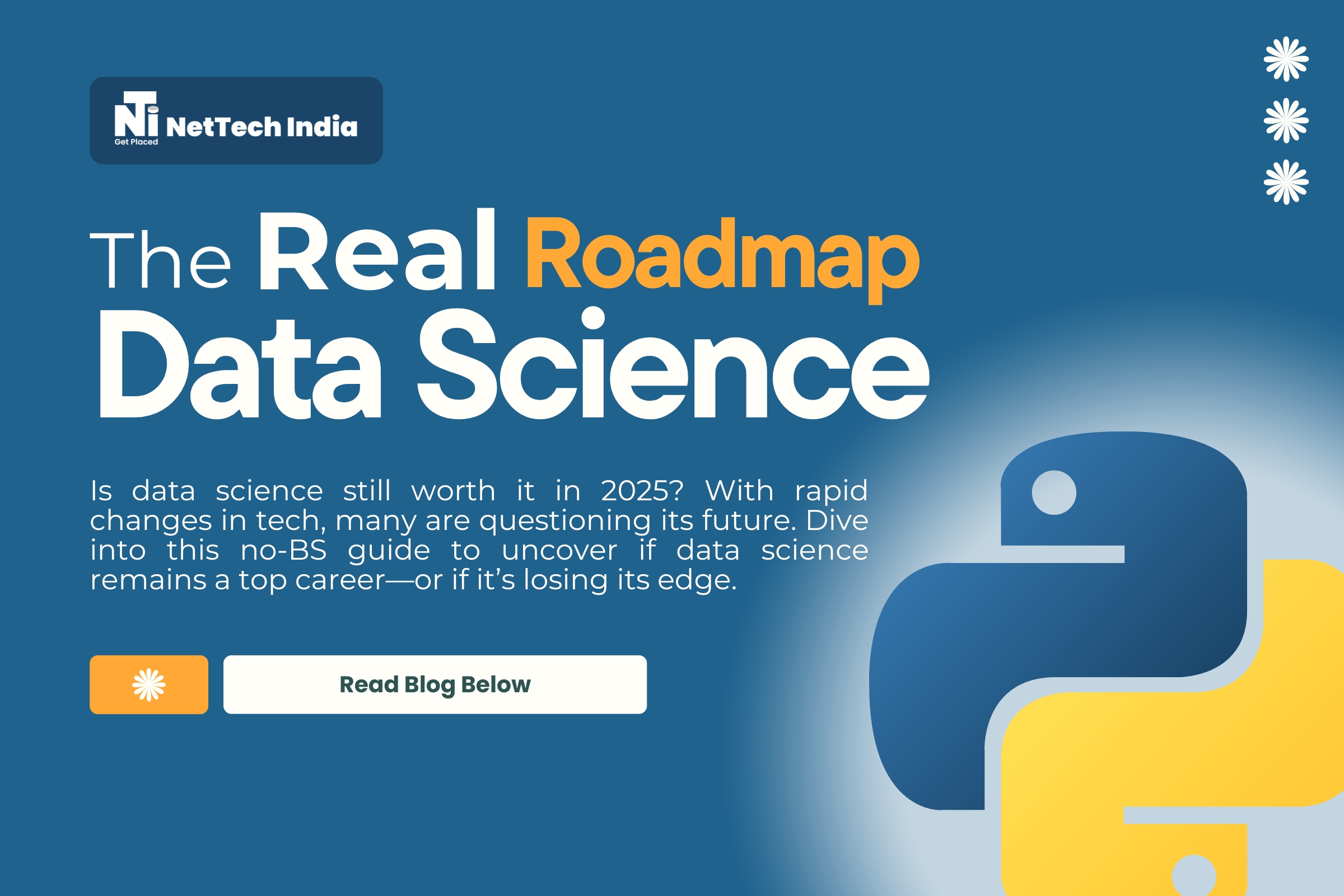 data science roadmap 2025